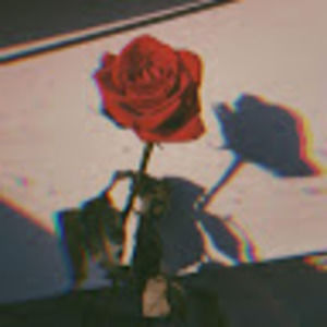 Meet your Posher, Ashlee